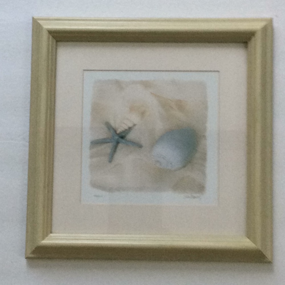 Judy Mandolf Shell Framed Shell Print